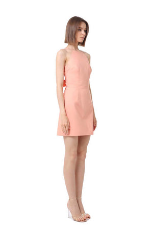 Linnet Sleeveless Mini Dress