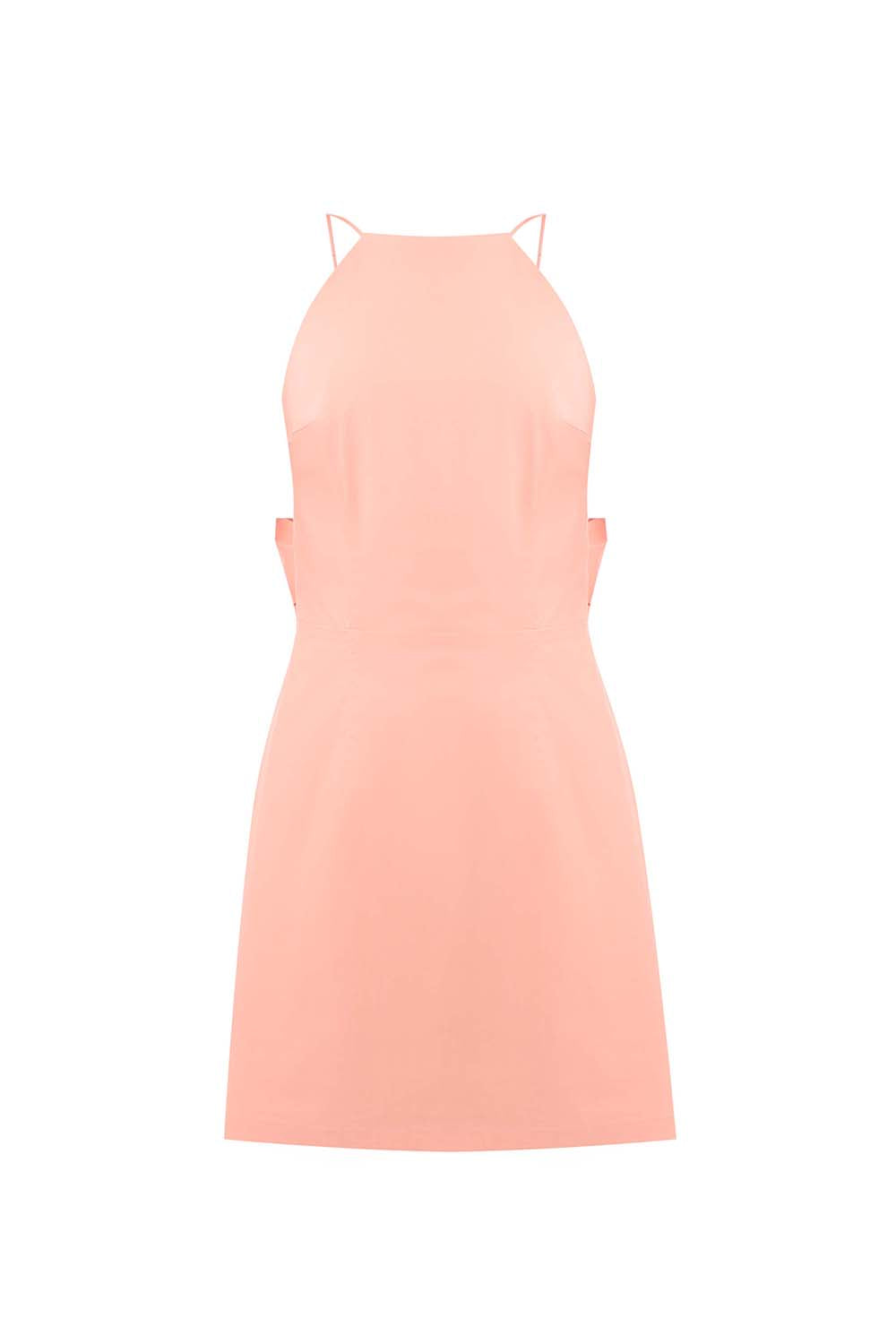 Linnet Sleeveless Mini Dress