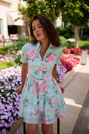 Anna Rose Mini Dress